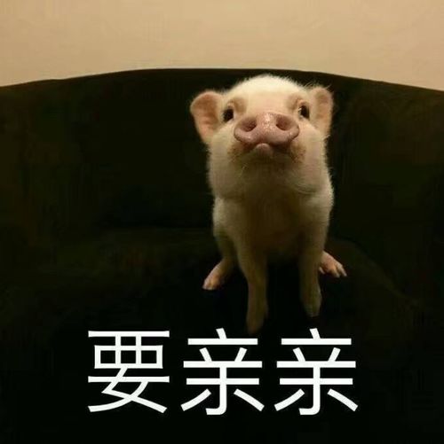 幽默笑话,今天在商店里遇见一个超级可爱的小正太