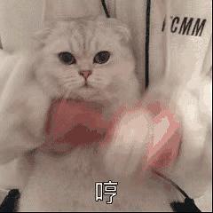分享可爱表情包gif