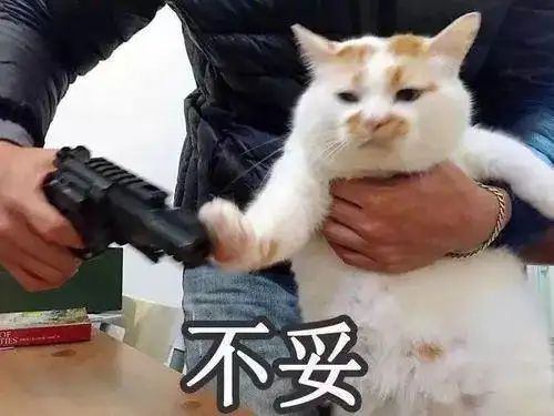 炒房客噩梦丨续贷暴雷,房子评估价缩水,瞬间负债超百万