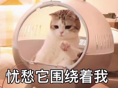 计算机专业毕业不想去外包,又找不到工作,太难了