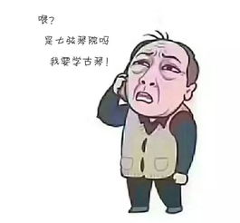 都挺好你还不认识苏大强先来收一套表情包吧