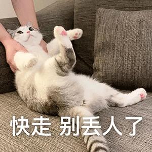 表情包你的绿帽子掉了