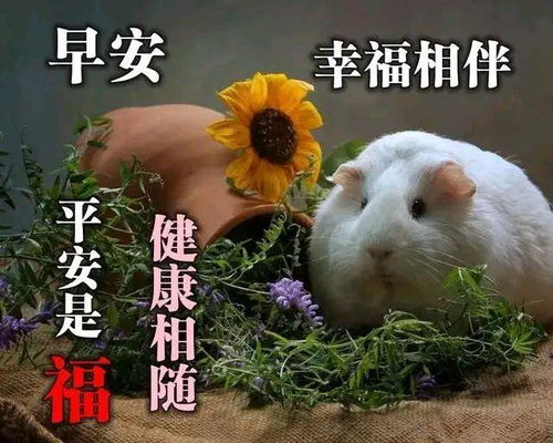 放不下,想不开,看不透,忘不了