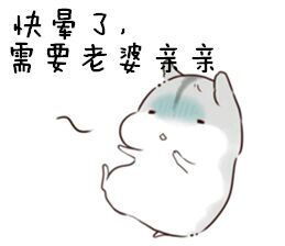 仓鼠抱瓜子堆糖,美好生活研究所
