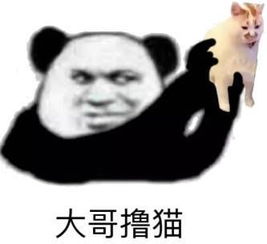 微信动图如何保存到电脑表情包下架了怎么办