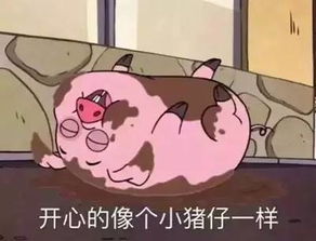 王健林张继科刘亦菲你们这样说话,良心不会痛吗