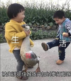 学会做5个菜才能毕业英国高中生也太不容易了.....