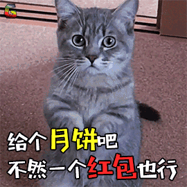 要月饼表情包动图合集给个月饼吧,不然一个红包也行