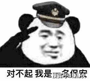沙雕搞笑表情包图片保安日记熊猫头文案