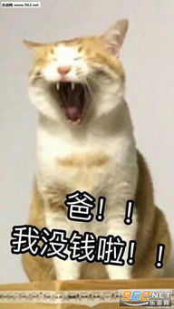 猪猪想要点钱吃饭表情包能给贫穷的女儿一点生活费吗表情包图片下载乐游网游戏下载