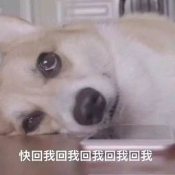 教会孩子社交中最大的不靠谱,就是收到不回复
