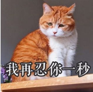 在中国,做爸爸太容易了老田
