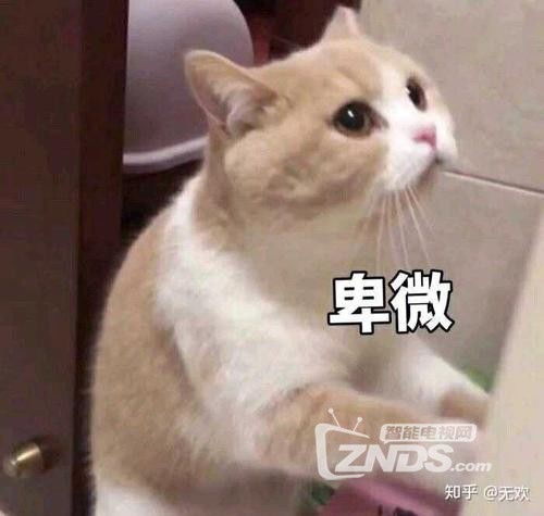 开机直达设置说明我只是转载