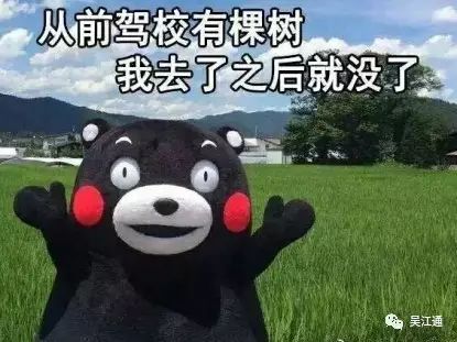 车让人究竟是新规还是传统原来吴江在古代就有这么多交通规则啊