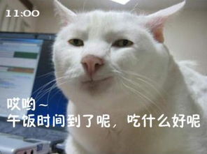 隔壁老王界的耻辱小公主要生葫芦娃