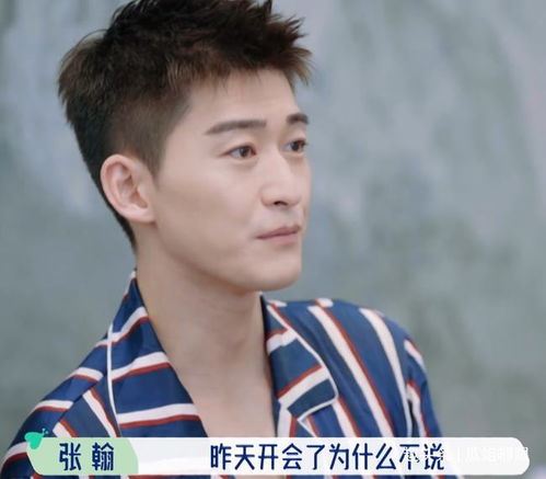 舒淇真社会人发现张翰他们对村长不满后,3个表情变化真微妙