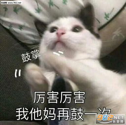 有性格我要睡你表情包图片今天使点什么小坏坏呢表情包下载乐游网游戏下载