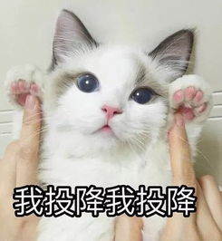 刷屏一整个暑假的综艺要完结惹他们保持幸福感的法宝到底是什么