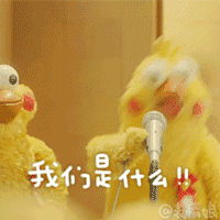 难过的时候需要它们给你满满的负能量