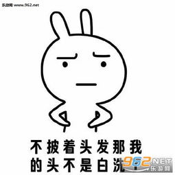 为了挡住脖子以免晒黑搞笑图片女生为什么喜欢披着头发表情包下载乐游网游戏下载