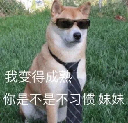 表情包你在刁难我奥某人