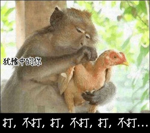 猴子表情包搞笑图片搞笑图片