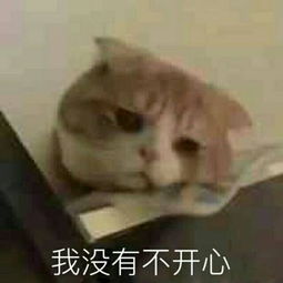 华为手机meter20扫描本地歌曲时为什么过滤掉一些短歌曲