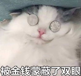 一张皮卡丘拍卖了137万你家抽屉里还有没有这些游戏卡