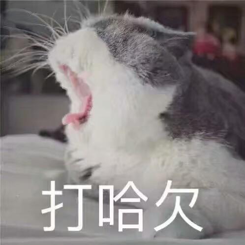 拼多多直通车店铺推广常见问题答疑有你想要知道的答案吗