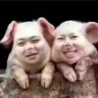 普大喜奔表情包表情包