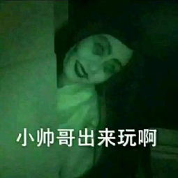 求这种系列的表情包,谢谢