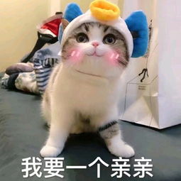 qq微信表情微信动态符号表情微信表情图片大全腾牛个性网