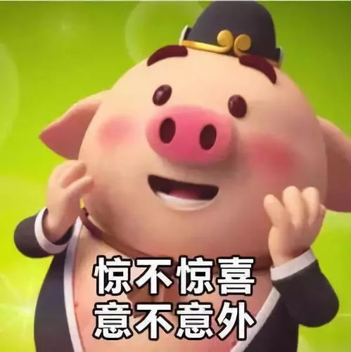 刘阿圆抱着猪的表情包表情包