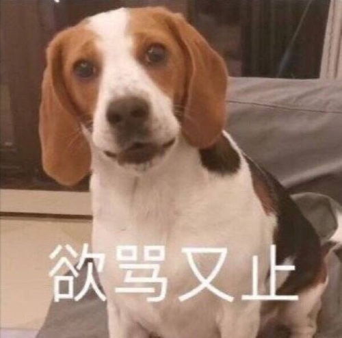 表情包难道菜就不能打游戏吗