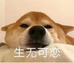 有时候比男人还能让我们开心的是....