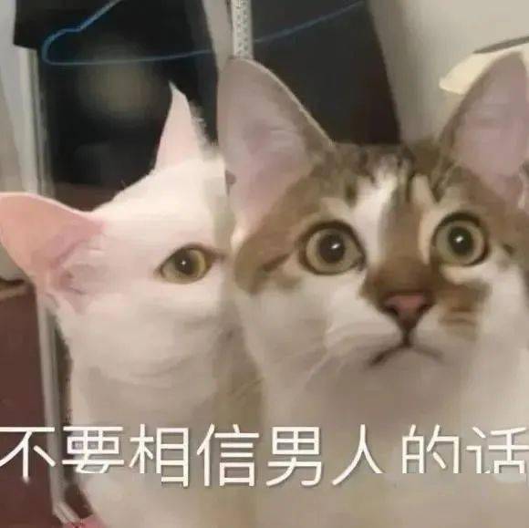 表情包