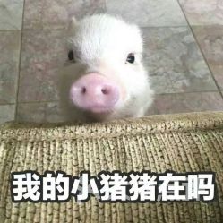 三餐枣木烤鸭世纪城店