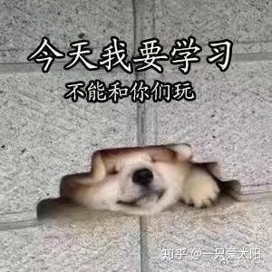 有哪些道理是你当了老师后才知道的