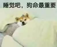 夜谈到底几点睡才算是熬夜