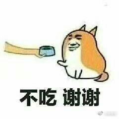 现在女孩子交男朋友的标准是啥呀