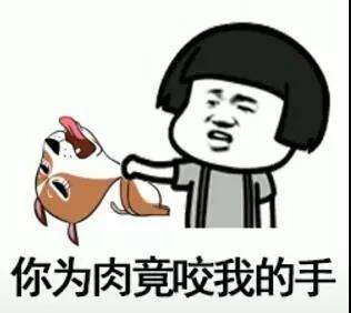 抖音我在那小区遛狗是什么歌抖音我在那小区遛狗表情包分享