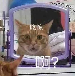 入职三天被普信男表白谢谢,吐出来好多了