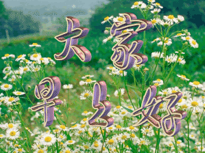 好难啊表情包gif无所谓