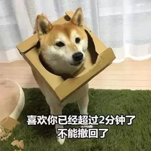 不骗你,根据狗狗品种真的可以知道主人性格,快来看看准不准