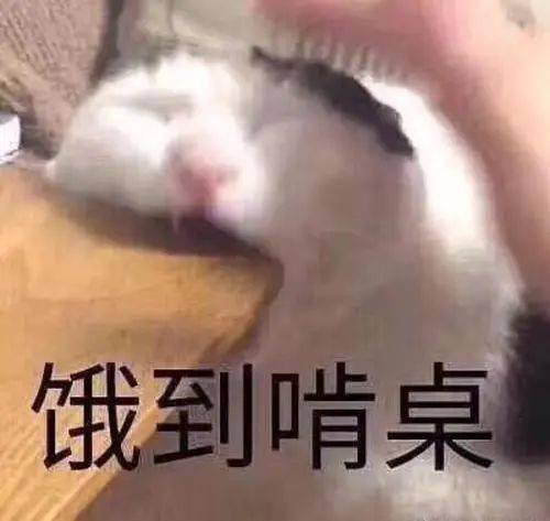 伴随神七神八神九神十漫游过太空,吃过一次就令外省人念念不忘的贵州牛肉干,你想尝一口吗