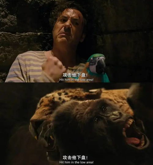 漫威世界剧集,2021正式开启