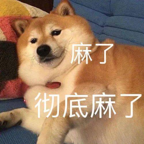 聊天斗图表情包i大家都听我说
