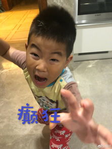 小鱼儿堪称表情包轻松hold住各种情绪