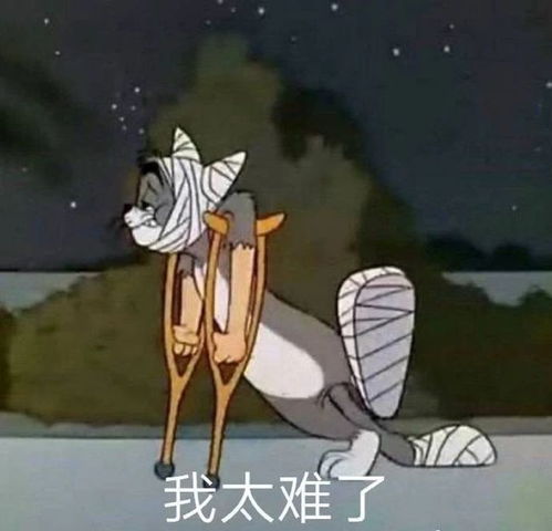 假装自己很合群,我太难了,最新搞笑表情包图片