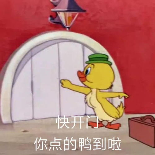 ysl恒颜,香水分装,羽绒服,猫咪冻干